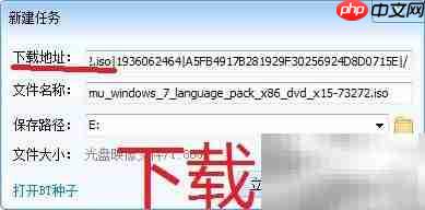 Windows系统下载指南