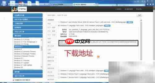 Windows系统下载指南