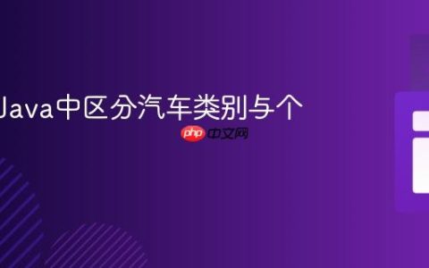 如何在Java中区分汽车类别与个体车辆