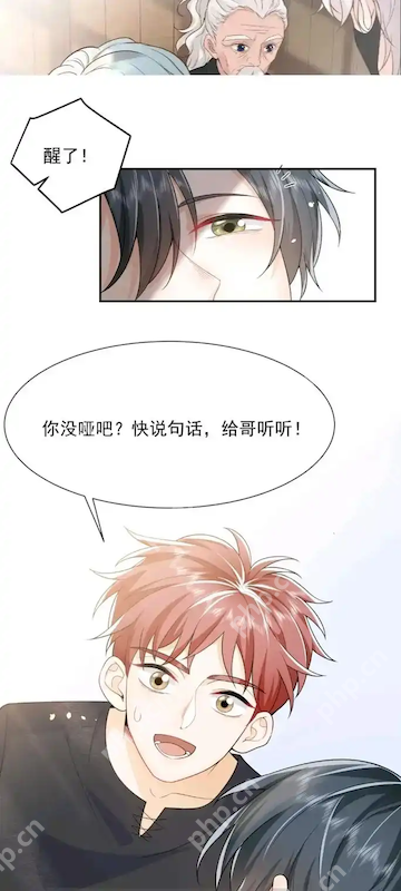 天堂漫画手机版官网入口 免费漫画在线追漫最新章节 - 创想鸟