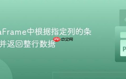 从DataFrame中根据指定列的条目查找并返回整行数据