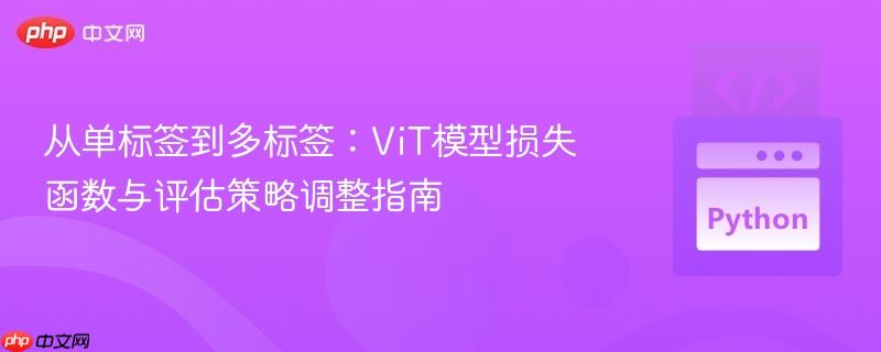 从单标签到多标签:ViT模型损失函数与评估策略调整指南