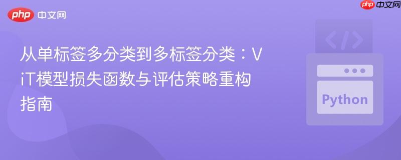 从单标签多分类到多标签分类:ViT模型损失函数与评估策略重构指南