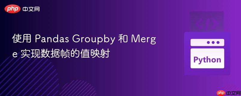 使用 Pandas Groupby 和 Merge 实现数据帧的值映射