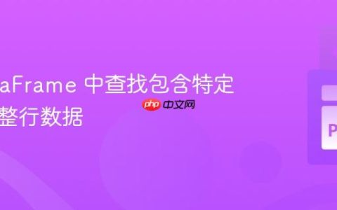 在 DataFrame 中查找包含特定条目的整行数据