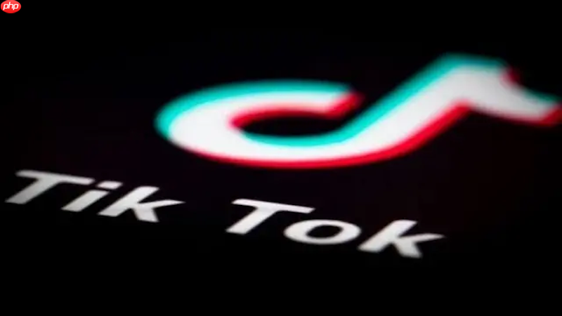 tiktok视频播放异常退出如何处理