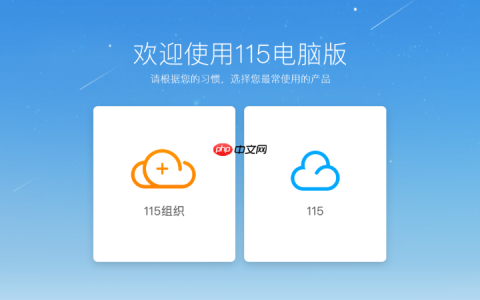 115网盘资源访问站点_115网盘资源高效获取地址