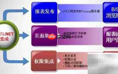 FineReport与.NET集成要点