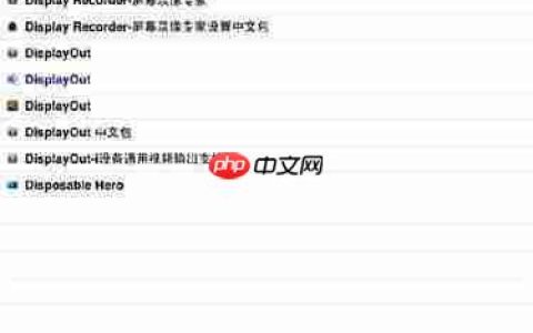 Display Recorder使用指南