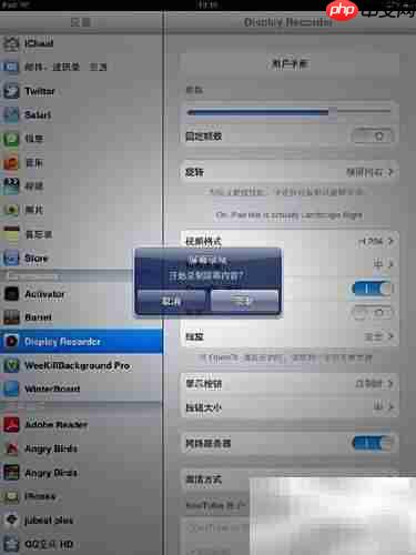 Display Recorder使用指南