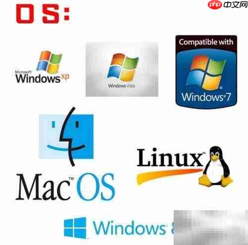 掌握Windows API入门指南