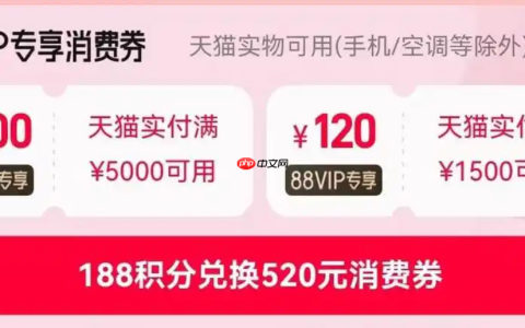 天猫双十一88vip大额消费券如何领取？如何使用？优惠券领取和使用攻略助力节省开支。