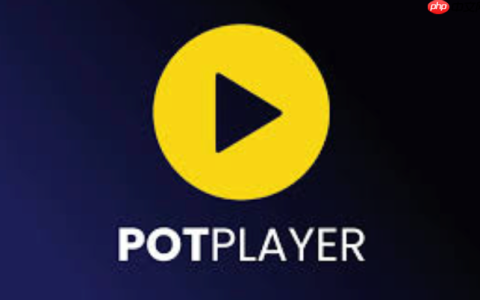 Potplayer怎么切换音轨_Potplayer切换音轨的简单操作指南