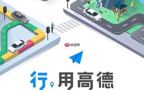 高德地图路线切换无效如何处理