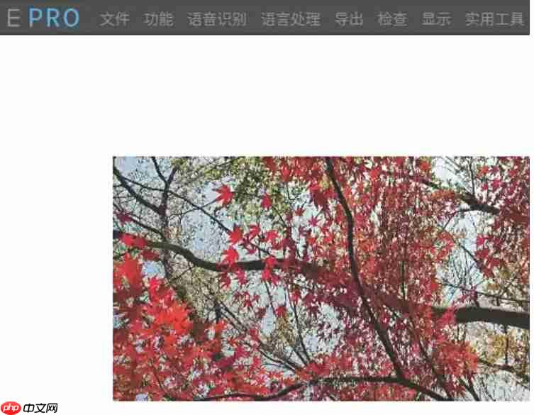 arctime怎么快进播放？arctime快进播放的操作步骤