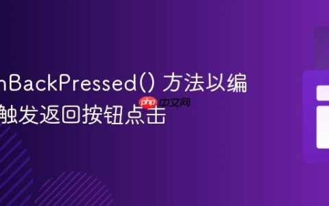 使用 onBackPressed() 方法以编程方式触发返回按钮点击