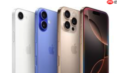 如何在iPhone14关闭灵动岛通知_iPhone14关闭灵动岛通知的步骤