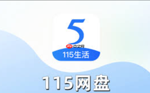 115网盘资源链接入口_115网盘资源稳定导航地址