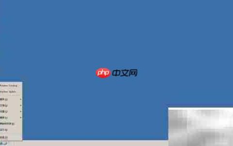Win Server 2003查看隐藏文件