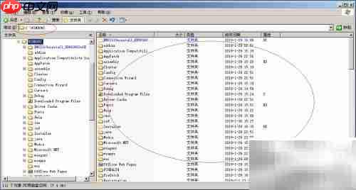 Win Server 2003查看隐藏文件