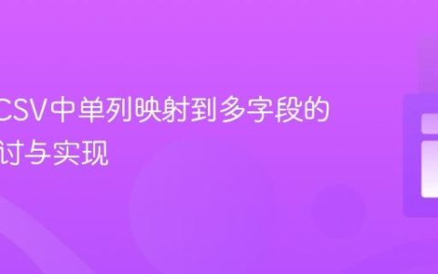 OpenCSV中单列映射到多字段的策略探讨与实现