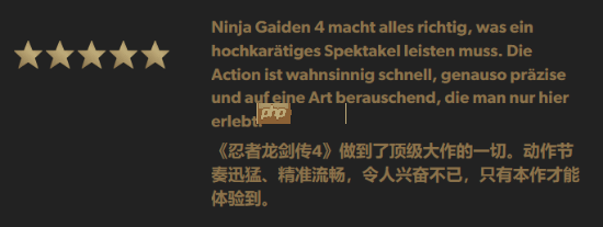外媒给《忍者龙剑传4》满分评价!做到了顶级大作的一切