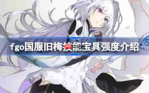 fgo国服旧梅技能宝具强度介绍-fgo国服旧梅技能宝具怎么样