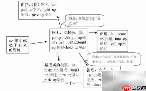 动词联想:高效记忆新法