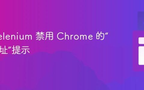 使用 Selenium 禁用 Chrome 的“保存地址”提示
