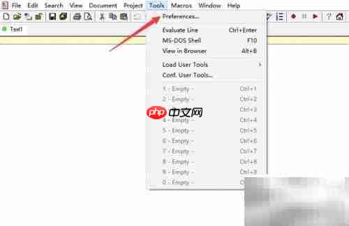 Crimson Editor关闭制表符显示