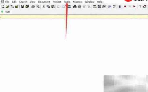 Crimson Editor关闭制表符显示