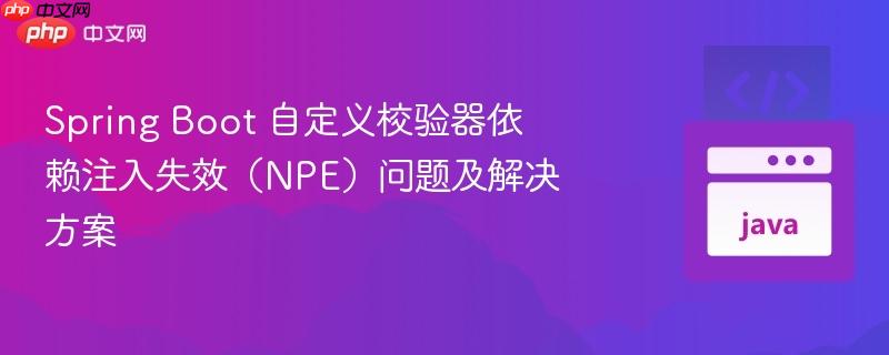 spring boot 自定义校验器依赖注入失效(npe)问题及解决方案