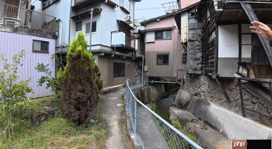 《寂静岭f》现实取景地对比 仿佛置身游戏世界！