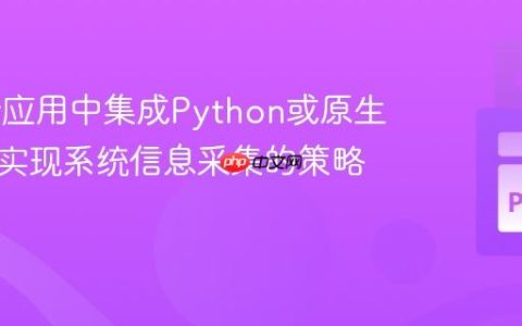 Flutter应用中集成Python或原生代码：实现系统信息采集的策略与实践