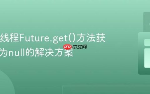 Java多线程Future.get()方法获取结果为null的解决方案