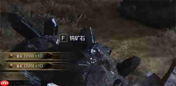 七日世界金矿点位大全