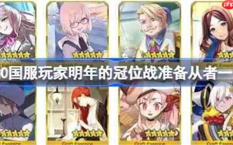 FGO国服玩家明年的冠位战准备从者一览-FGO国服玩家该为明年的冠位战准备些什么