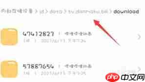哔哩哔哩视频如何提取音频