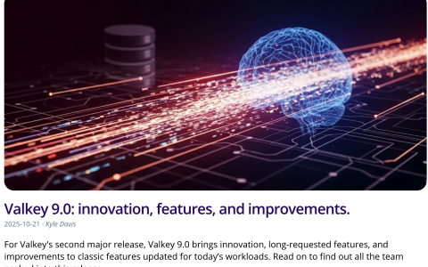 Valkey 9.0.0 正式 GA，Linux 基金会维护的 Redis 分支