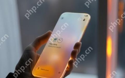 iPhone命名或跳过19