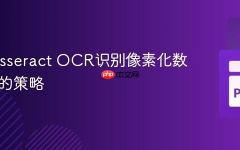 优化Tesseract OCR识别像素化数字图像的策略
