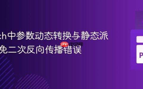 PyTorch中参数动态转换与静态派生：避免二次反向传播错误