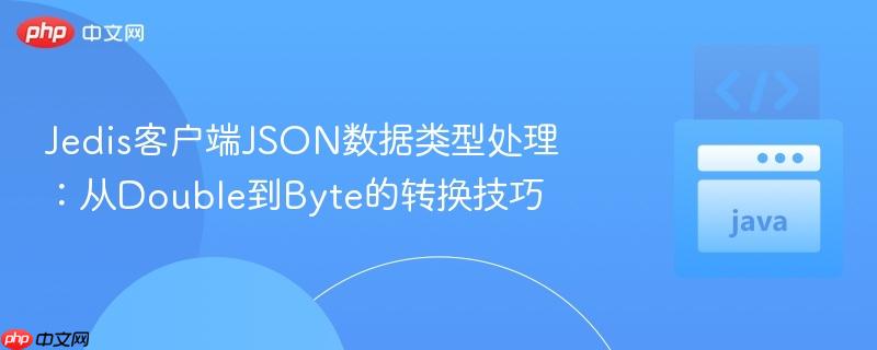 Jedis客户端JSON数据类型处理：从Double到Byte的转换技巧