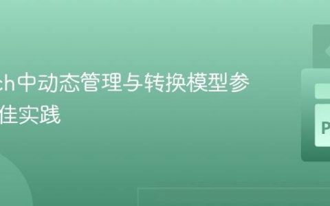 PyTorch中动态管理与转换模型参数的最佳实践