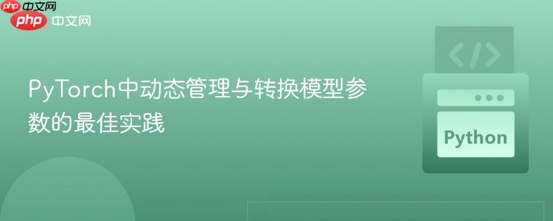 PyTorch中动态管理与转换模型参数的最佳实践