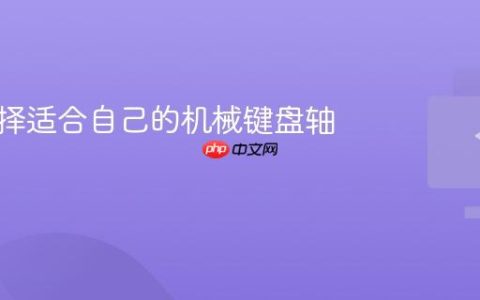 如何选择适合自己的机械键盘轴体？