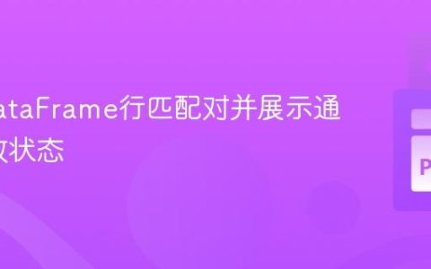 确定DataFrame行匹配对并展示通过/失败状态