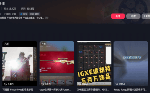 CNCS最富玩家宣布退坑：500万蒸发 对V社失望透顶