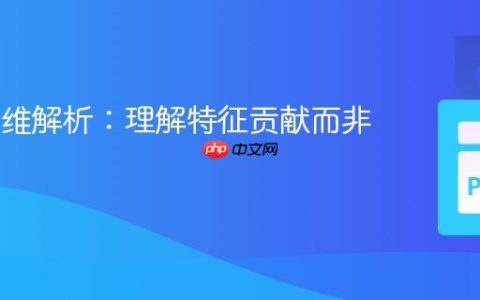 LDA降维解析：理解特征贡献而非选择