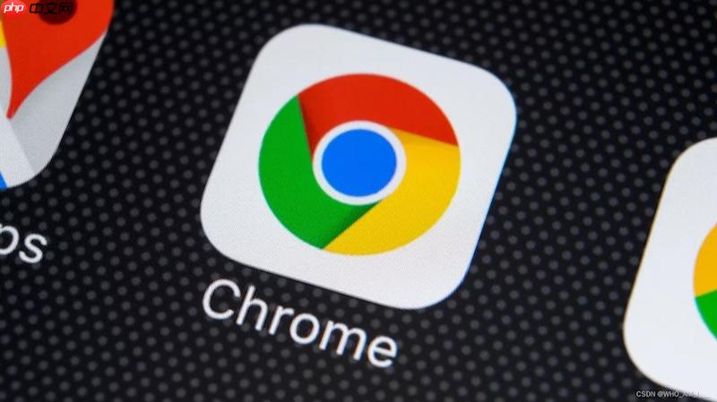 谷歌浏览器如何禁用自动播放gif动图_谷歌浏览器动图播放控制设置